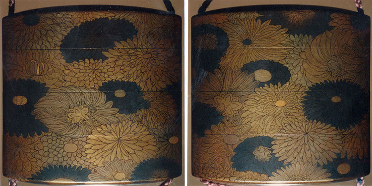 Chrysanthemum Duvet