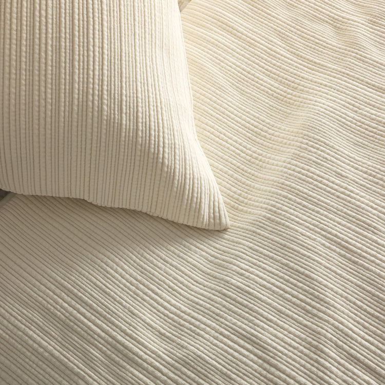 Alluvia Bone Detail - SHAUE-BON THAUK-BON AU-BON PWAU2222-BON PWAU3616-BON
