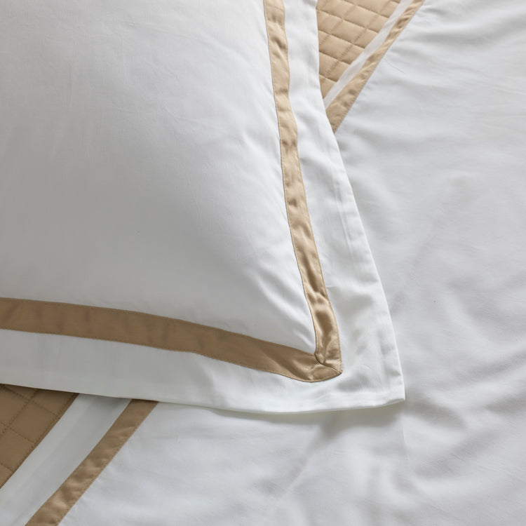 SSCTK-WHI-TAU, SSCTQ-WHI-TAU, SHCTE-WHI-TAU, DVCTK-WH-TAU, DVCTQ-WHI-TAU SSCTT-WHI-TAU