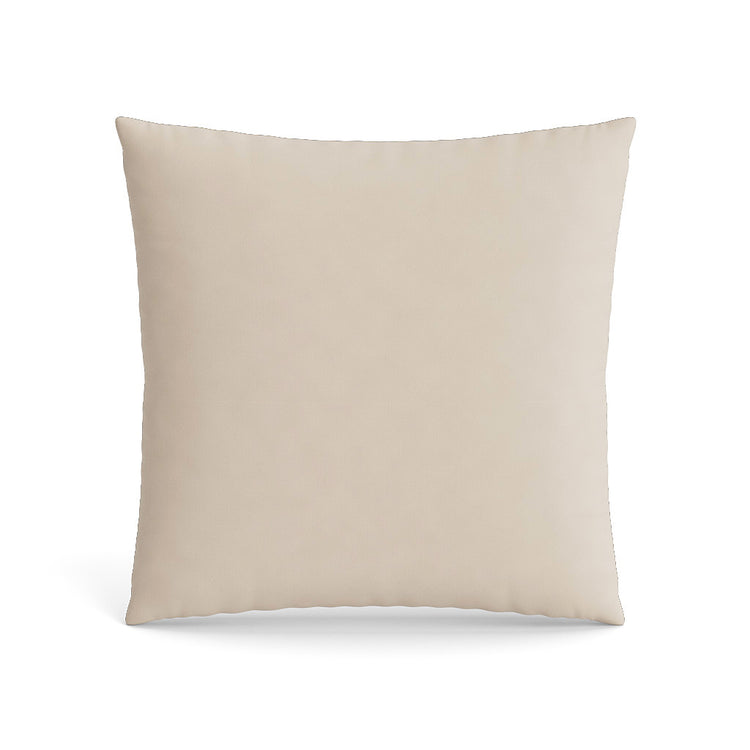 PWOP2020-AZU PWOP1414-AZU