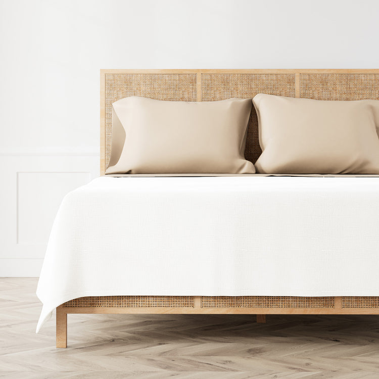 SSTNK-TAU SSTNQ-TAU SSTNT-TAU